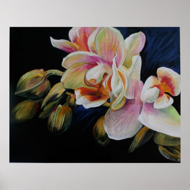 Affiches Orchidées (Devant)