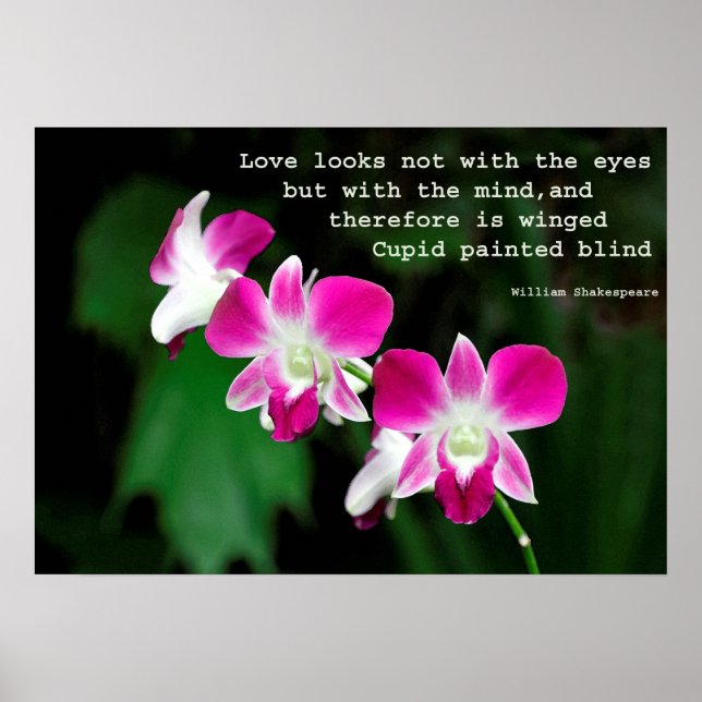 Affiches Orchidées à l'aquarelle (Devant)