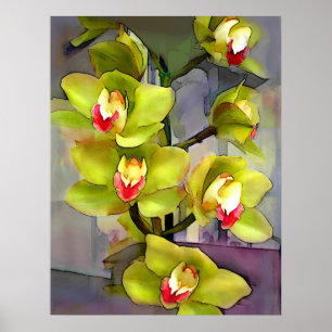 Affiches Orchidées Cymbidium Vert