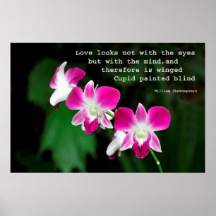 Affiches Orchidées dans la couleur pour aquarelle