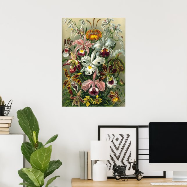 Affiches Orchidées d'Ernst Haeckel, Fleurs de la Forêt Trop (Bureau à domicile)
