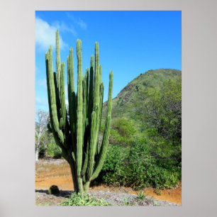 Affiches Organe Cactus