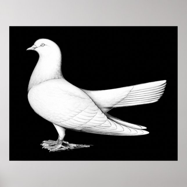 Affiches Oriental Roller:  Flying Type (Devant)
