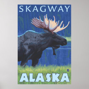 Affiches Orignaux la nuit - Skagway, Alaska