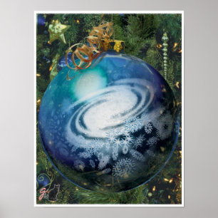 Affiches Ornamentalité