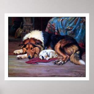 Affiches Orphan Puppy et un Collie - par Wright Barker