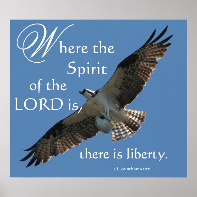 Affiches Osprey Bird Spirit of the LORD Imprimer (Devant)