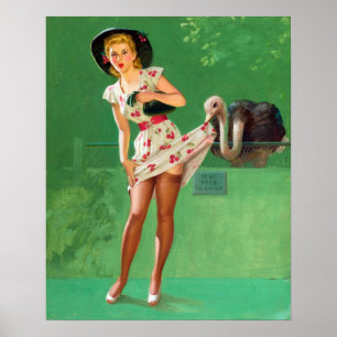 Affiches Ostrich Pin Up