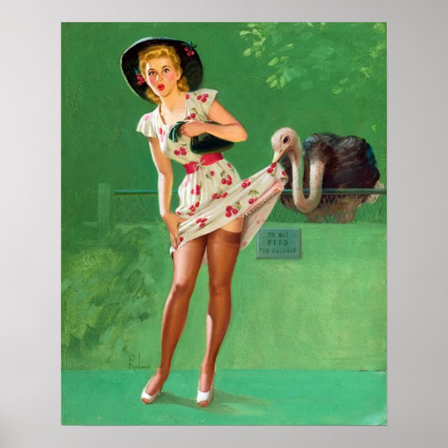 Affiches Ostrich Pin Up (Devant)