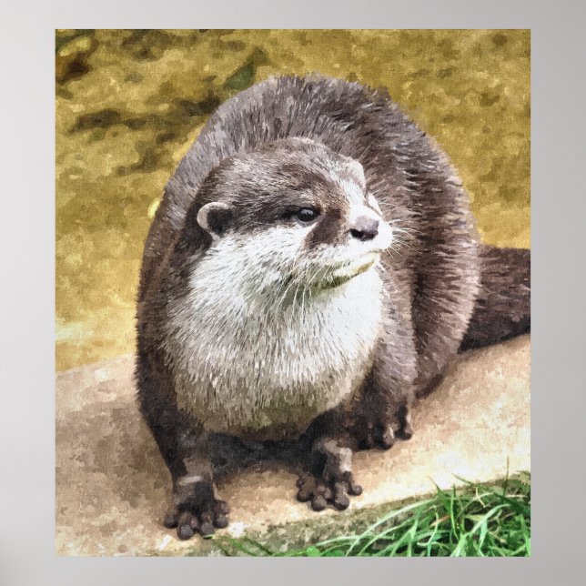 AFFICHES OTTER (Devant)