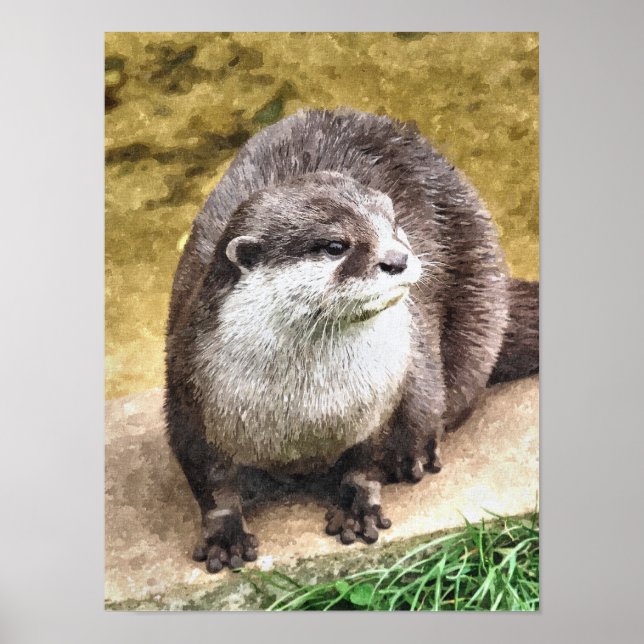 AFFICHES OTTER (Devant)