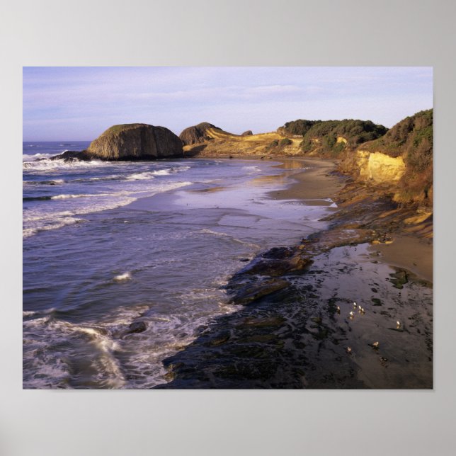 Affiches OU, côte de l'Oregon, Newport, rivage à Seal (Devant)