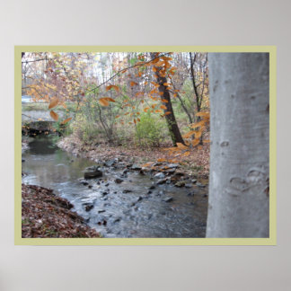 Affiches Où pousse la fougère rouge