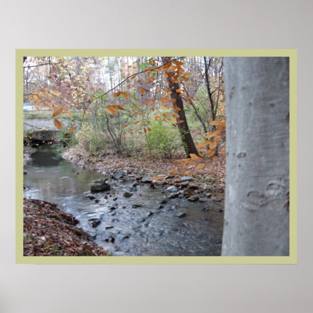 Affiches Où pousse la fougère rouge (Devant)
