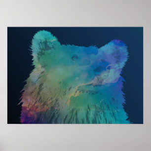 Affiches Ours