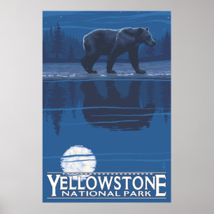 Affiches Ours au clair de lune - Parc national de Yellowsto