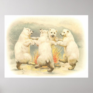Affiches Ours de danse
