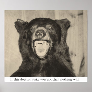 Affiches Ours effrayant