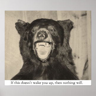 Affiches Ours effrayant