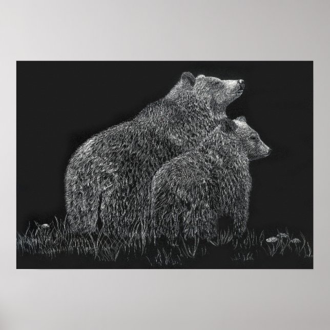Affiches Ours Faune Nature Dessin noir blanc (Devant)
