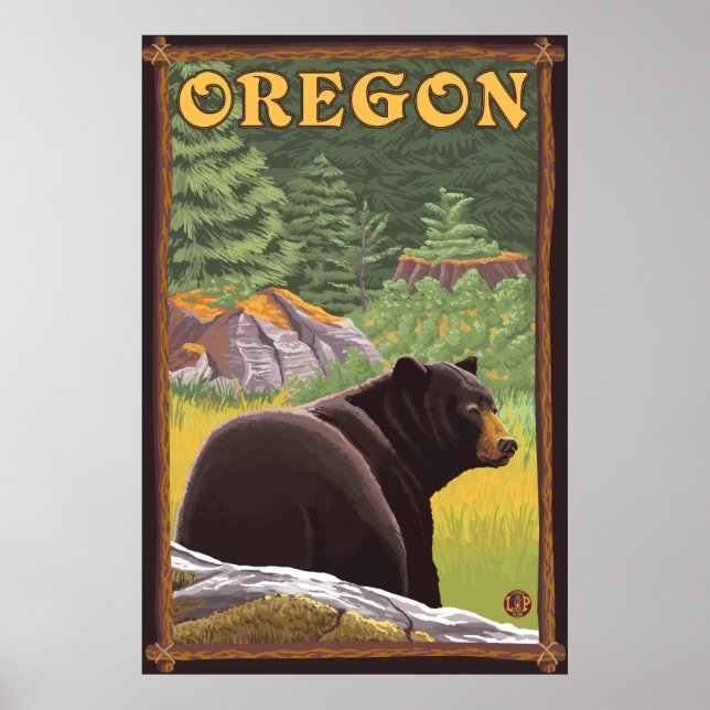 Affiches Ours noir sur la scène forestière - Oregon (Devant)