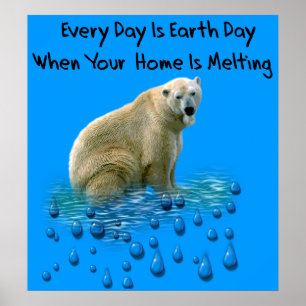 Affiches Ours polaire