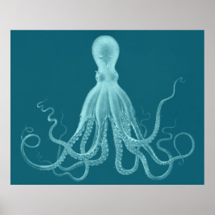 Affiches Oversized Octopus Triptych Print in Turquoise
