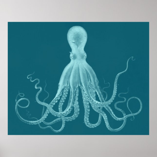 Affiches Oversized Octopus Triptych Print in Turquoise (Devant)