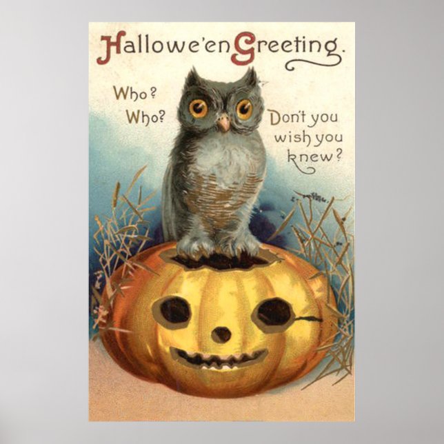 Affiches Owl Citrouille Jack-o'-lantern (Devant)