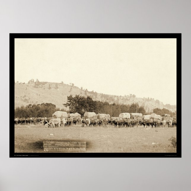 Affiches Ox Teams & Wagons Freighting Black Hills SD 1887 (Devant)