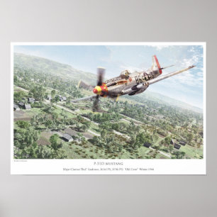 Affiches P-51D Mustang