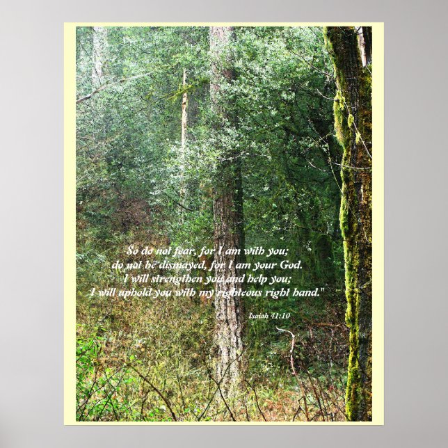 Affiches Pacific Northwest Forest Isaiah 41:10 Imprimer (Devant)