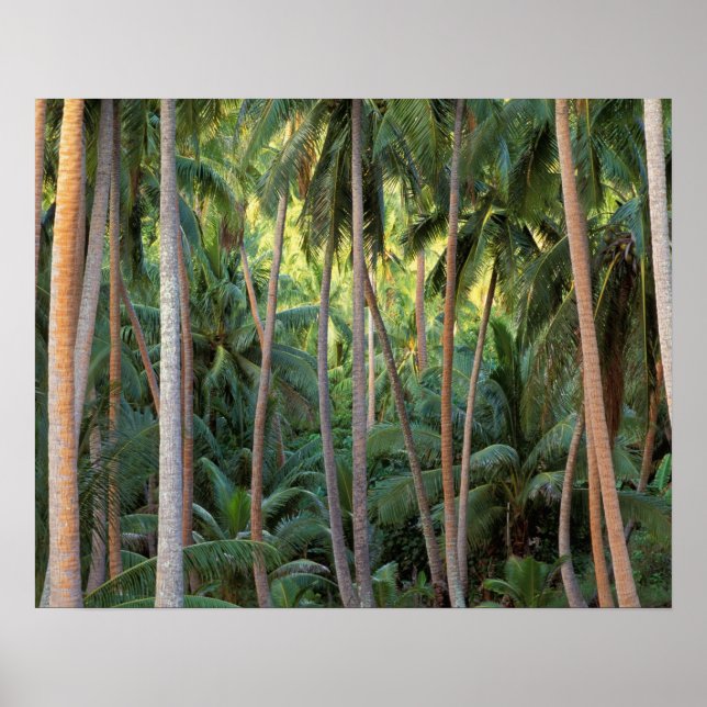 Affiches Pacifique Sud, Polynésie française, Bora Bora. (Devant)