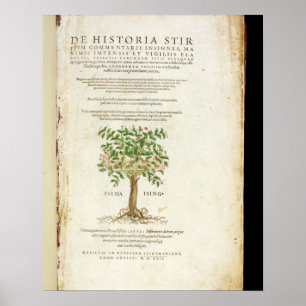 Affiches Page de titre de 'De Historia Stirpium Commentarii