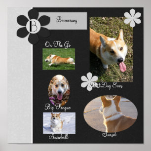 Affiches Page Livre de rebuts de fleurs noires et blanches