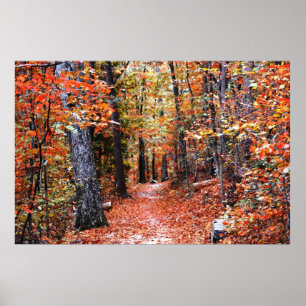 Affiches Painted Forest Automne Trail Aquarelle Imprimer