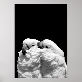 Affiches Paire de cocktails parapluies