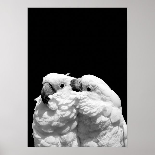 Affiches Paire de cocktails parapluies (Devant)