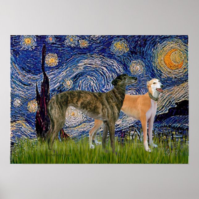 Affiches Paire de Greyhound - Nuit étoilée (Devant)