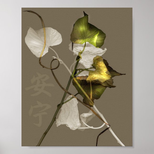 Affiches Paix (Devant)