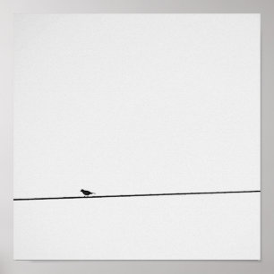 Affiches Pájaro posado en blanco y negro
