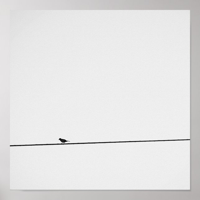 Affiches Pájaro posado en blanco y negro (Devant)