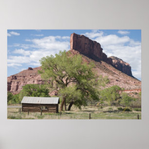 Affiches Palisade et Pioneer Cabine