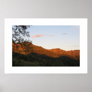 Affiches "Palisades"