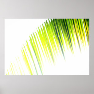 Affiches Palm Abstrait (affiche)