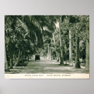 Affiches Palm Beach, la Floride, cru de manière de palmier