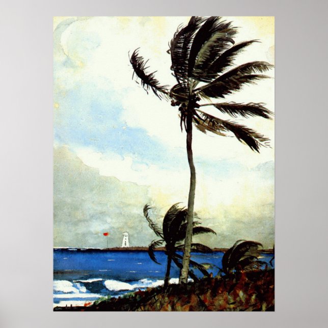 Affiches 'Palm Tree-Nassau' (Devant)
