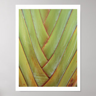 Affiches Palme du voyageur