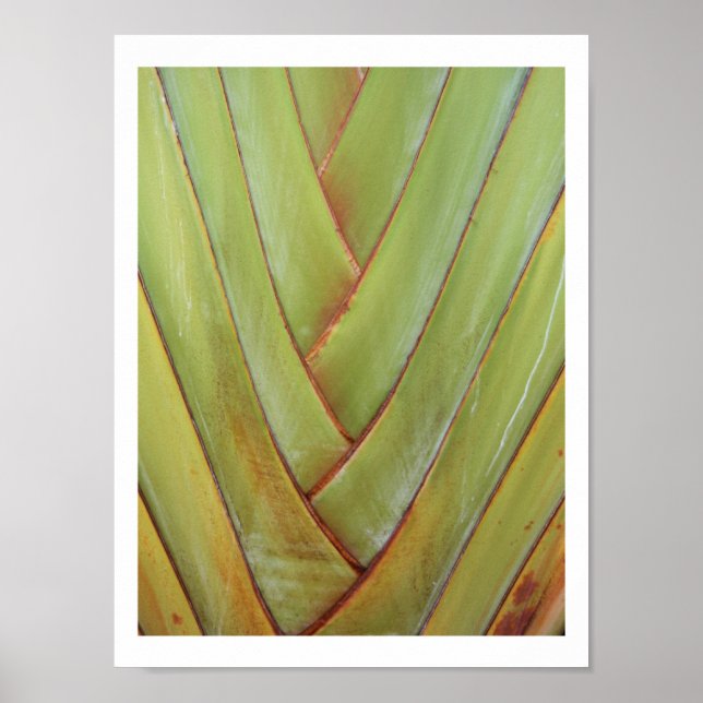 Affiches Palme du voyageur (Devant)