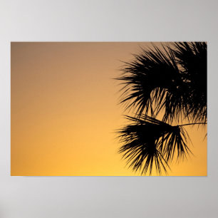 Affiches Palmetto, lever du soleil, Floride